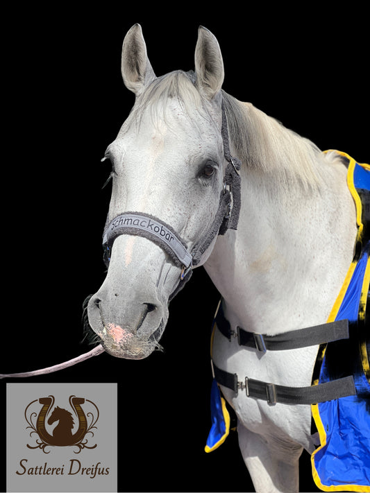 Plüschhalfter Stallhalfter