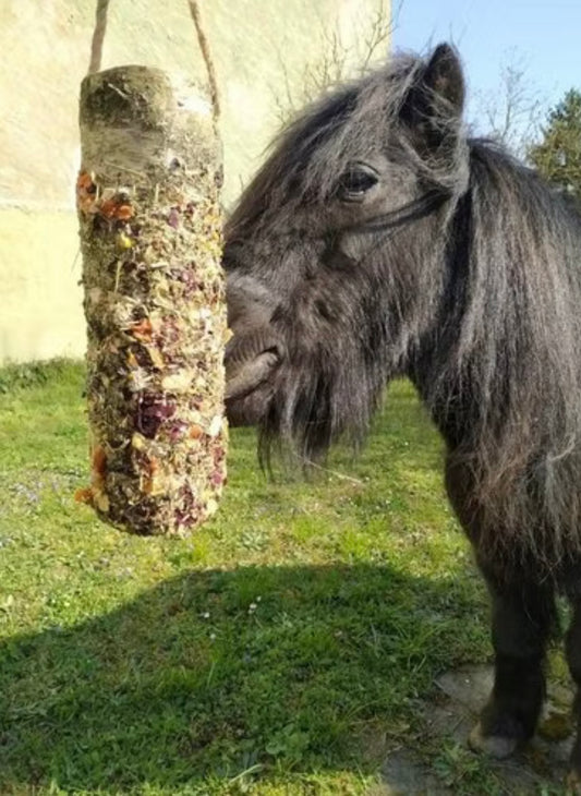 Knabberholz Kräuter Boxenbeschäftigung PonyEsel Pferd