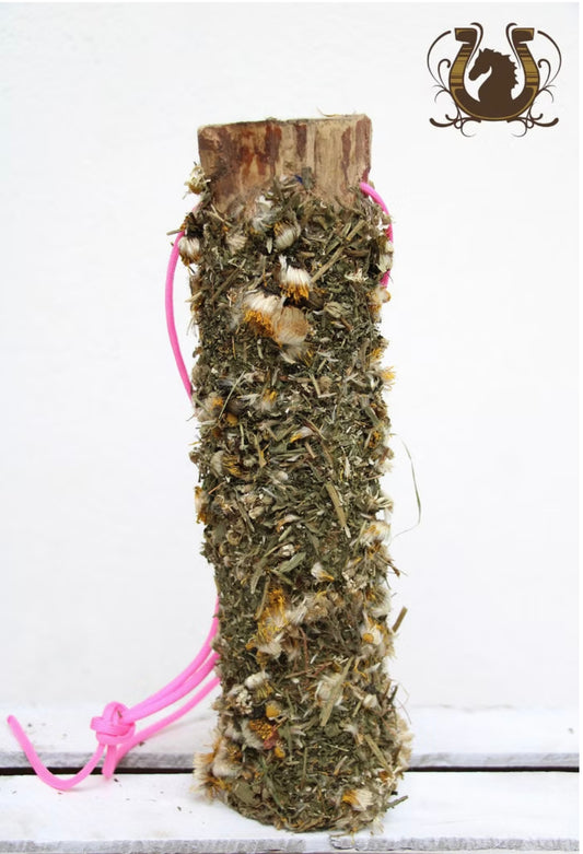 Knabberholz Löwenzahn x Spitzwegerich