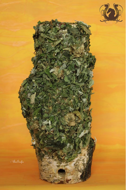 Knabberholz Minzvielfalt