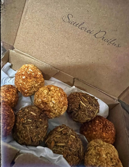 Pferdepralinen Pferde Leckerlie