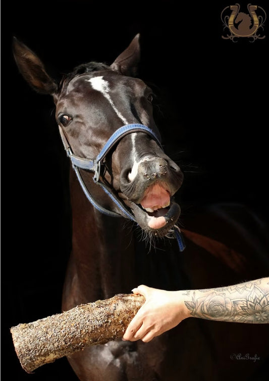 Knabberholz “Der ruhige Lavendler"