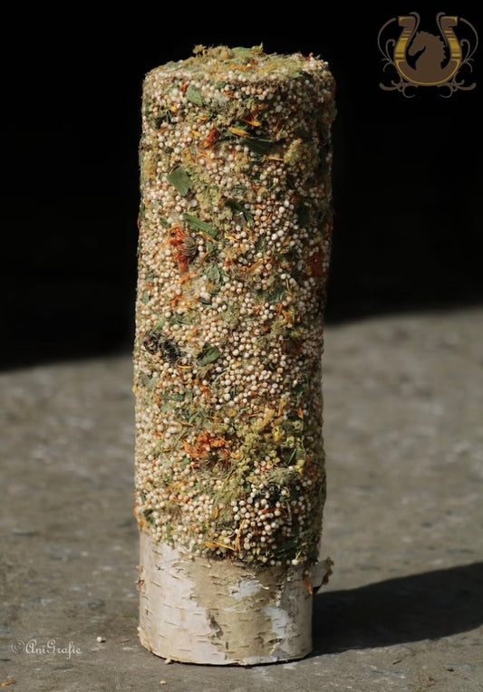 Knabberholz Energieklotz