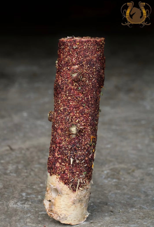 Knabberholz süßes Früchtchen Pferd