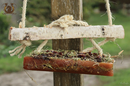 Kräuterlasagne für Pferde