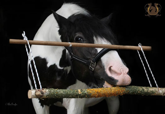 Knabberholz Horseanizer