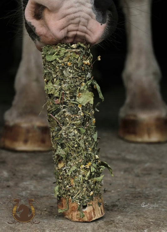 Knabberholz "Hufrehe Akut"