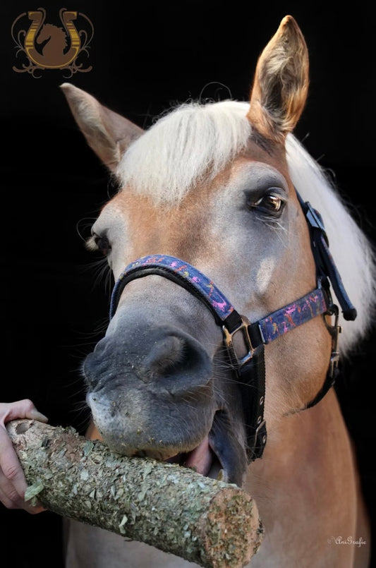 Knabberholz Nussknacker Boxenbeschäftigung Pferd