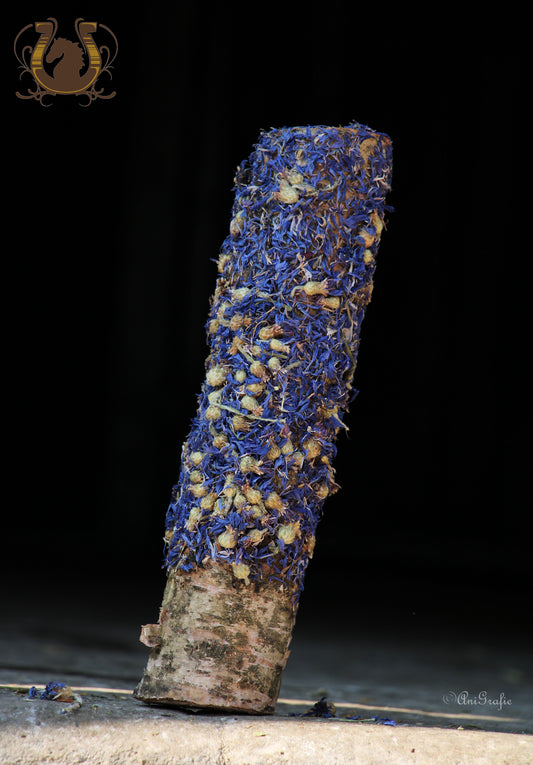 Knabberholz Kornblume