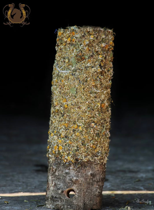 Knabberholz Daisy Kamilleblüte