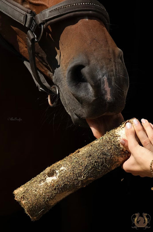 Knabberholz kleiner Italiener